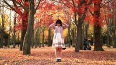 【丸井かお】 恋愛デコレート 踊ってみた  【秋色】