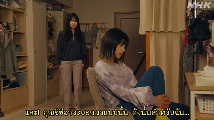 ดอกไลแลคบานในเส้นทางสัตว์#1