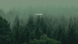 "Oneplaylist" Berbaring di hutan terpencil, mendengarkan suara rintik hujan | playlist hari hujan
