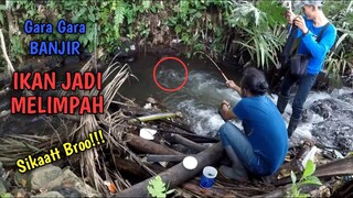 EDANN BROO!! Mancing Di Sungai Kecil Banyak Ikannya