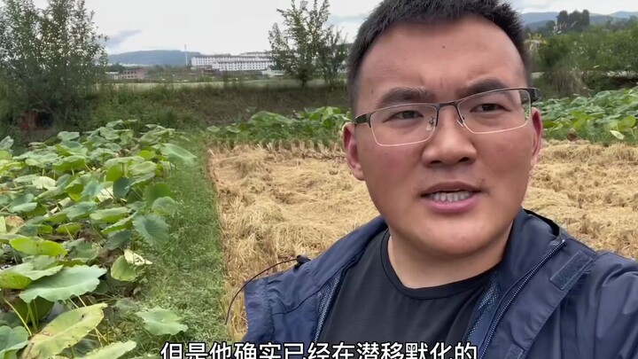 ทุกคนรู้กันดีว่าหมากเป็นสารก่อมะเร็ง ฉวยโอกาสที่ยังอยู่ในกระแส ผมจะเล่าบางเรื่องที่ปกติไม่กล้าพูด