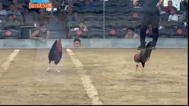 2nd fight 2Hits sa Roligon Oct 23,2025 "BATOMAN"