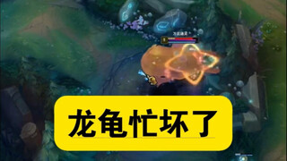 龙龟：我倒要看看谁敢动我的蛤蟆