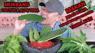 MUKBANG LALAPAN BATANG PEPAYA MENTAH + KAKTUS + LIDAH BUAYA + SAMBAL TERASI  #eatingcactus #asmr