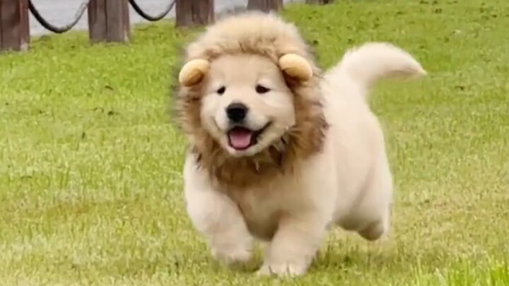 “Khi bạn không chịu nổi nữa, hãy nhanh chóng xem cái này”