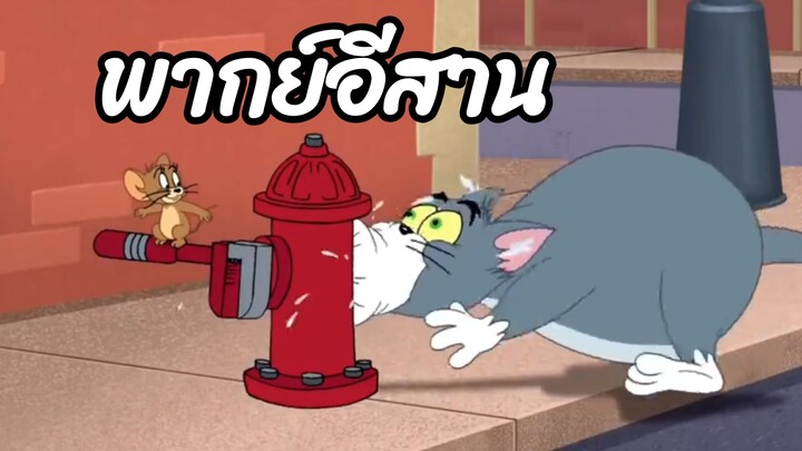 ทอมแอนด์เจอร์รี่ พากย์อีสาน อาหารข้างทาง