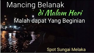 Mancing BELANAK di Malam Hari Malah dapat ikan Beginian || Mancing Mania - Blands Hidayat