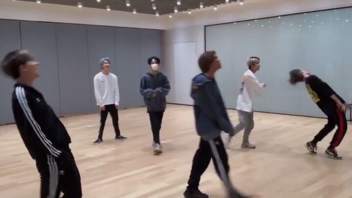 คู่มือพฤติกรรมฝาแฝดแบบวาดๆ