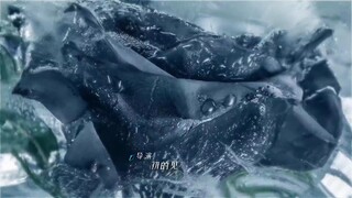 Đối Với Tôi, Anh Ấy Là Người Nguy Hiểm EP 8 [Sub Việt]