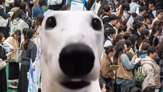 Ketika Anda berbicara kepada kaum muda tentang penderitaan