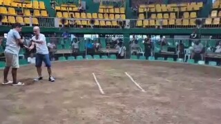 2 Cock derby @aznar talisay entry name: Kenners GF-1st fight win