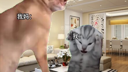 อะไรคือคุณแม่ชาวกวางตุ้ง?