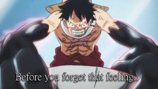 [One Piece AMV]