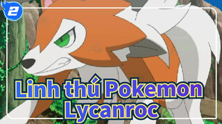 [Linh thú Pokemon] Tiến hóa giữa ánh sáng và bóng tối| Lycanroc Dạng hoàng hôn_2