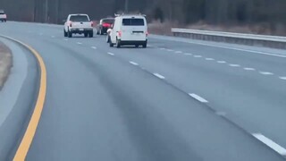 看到最后终于高兴了