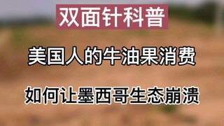 【双面针科普】美国人的牛油果消费，如何让墨西哥水土污染生态崩溃
