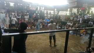 2nd fight June 22 @albuera cockpit_WIN