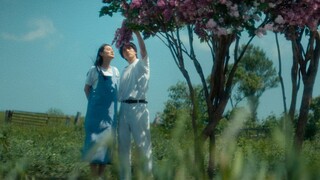 【รักแรก】เธอจะเป็นรักนิรันดร์ของฉัน