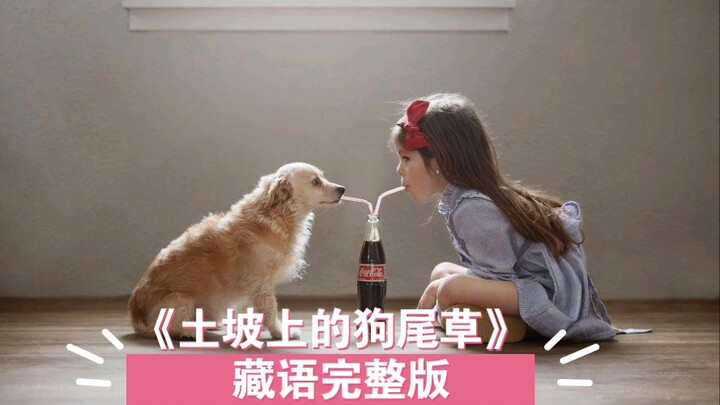 Puppy Wants to Listen to Puppy Songs: “Dogtail Grass on the Earthwork Slope” (Tibetan) – Complete Ve