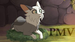 Library - Flurryfoot PMV Commission