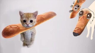 Bánh sừng bò, nhưng bánh mì baguette và để tôi làm điều đó cho bạn