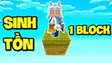 SINH TỒN CHỈ VỚI 1 BLOCK SIÊU KHÓ TRONG MINI WORLD *MEOWPEO XÂY NHÀ VÀ VƯỜN CHỈ VỚI 1 BLOCK