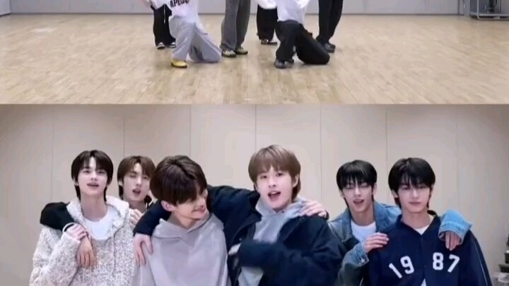 Saya merasakan aura HOSHI, ini pasti arahan dari HOSHI, kan?