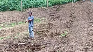 Buhay Probinsya, Buhay Magsasaka