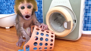 Monkey Baby Bon Bon ทำให้เสื้อผ้าของเขาสกปรกและไปซักผ้าในห้องน้ำ