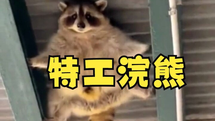 Keripik kering sekelas langit-langit!!!