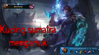keganasan kucing sumatra 😾