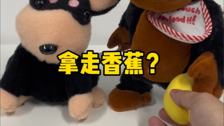 ของเล่นควบคุมด้วยแม่เหล็ก: แย่งกล้วย ปล่อยผึ้ง