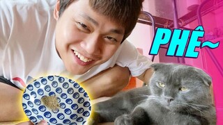 LẦN ĐẦU CHO CUP HÍT THỬ CỎ MÈO VÀ CÁI KẾT... PHÊ TẬN NÓC:))) - CUP THE CAT