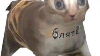 冷知识:已经解冻一半了