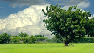 "Gió thì miễn phí, tôi hy vọng bạn cũng vậy"