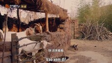 Ở Bên Nhau Như Trước Đây EP 9 [Sub Việt]