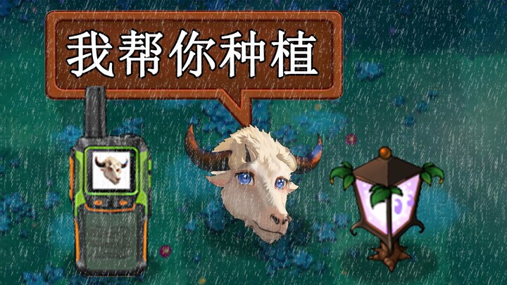 The bull shelters from the rain in the house, while the ram gives instructions in the rain!