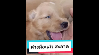 ✋ล้างแล้ว