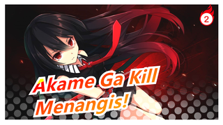 Akame Ga Kill|[Epik]Menangis! Dengan jiwa membaramu!_2