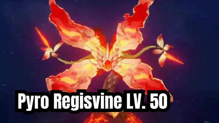 Mengalahkan Pyro Regisvine LV.50