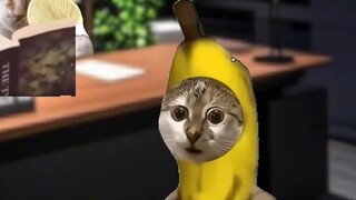 เมื่อคุณตื่นขึ้นมา เพื่อนสนิทของคุณจะกลายเป็นเพื่อนผีใช่ไหม?