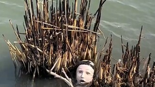 Who lost this? I was so scared that I even dropped my fishing rod!