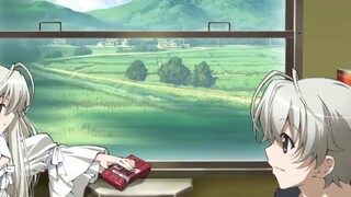 Bai Cai misunderstood the meaning of "Sister, eat a mouth" and immediately thought of orthopedics.