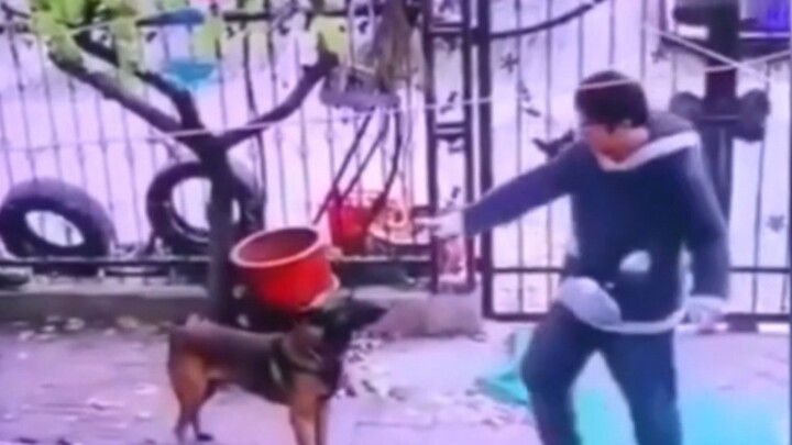 Câu Tử: May mà có giám sát! ! !