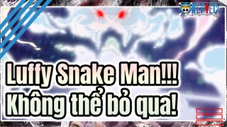 New Form! Luffy (Snake) Version Enters! Epic Video! | One Piece