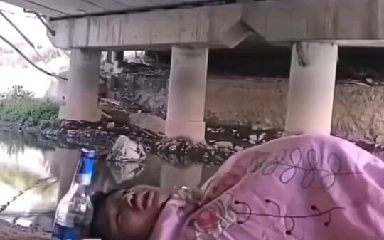 خطط العام الجديد