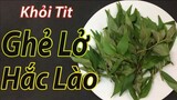 Cách chữa bệnh ghẻ lở hắc lào tại nhà bằng rau dăm, nặng đến cỡ nào cũng chỉ 1 tuần là khỏi