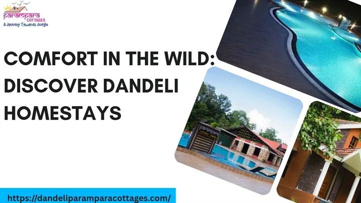 Comfort in the Wild: Discover Dandeli Homestays