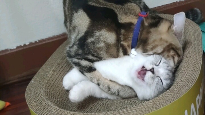 รักน้องกี่โมง