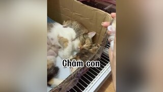 Cháu minhkontum chào cả nhà ạ.